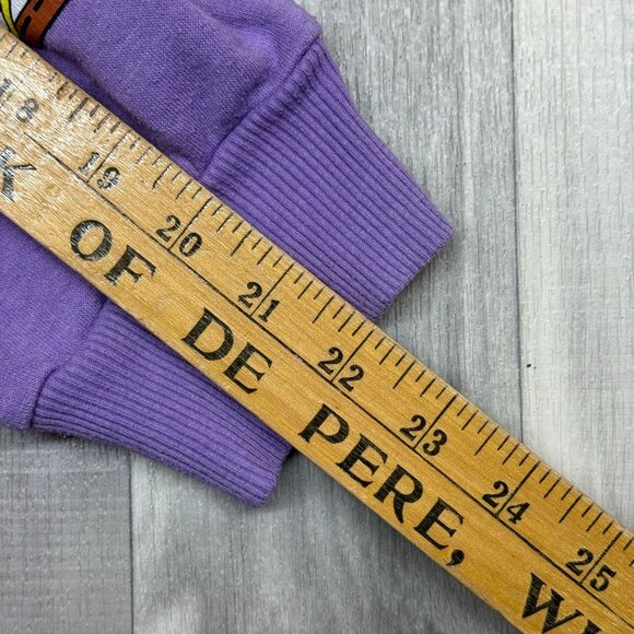 ✅Men L Spongebob Squarepants Bikini Bottom Drivers License Graphic Hoodie Purple - Picture 9 of 11